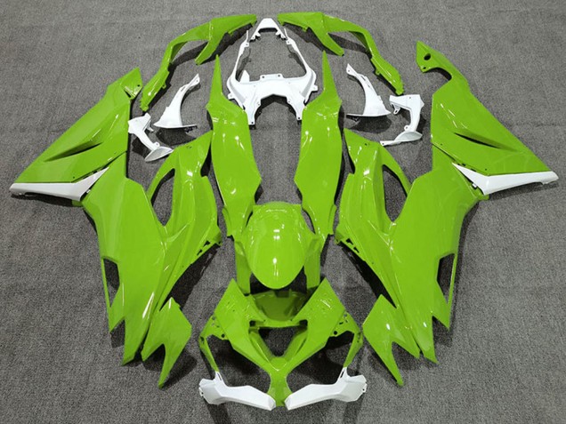 2019-2022 Kawasaki ZX6R Motorcycle Fairings - White Green UK