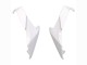 2018-2024 Kawasaki Z400 Motorcycle Fairings - White Glossy Black Green UK