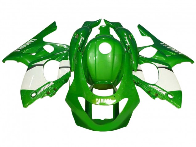1996-2007 Yamaha YZF600R Thundercat Motorcycle Fairing - Green White UK