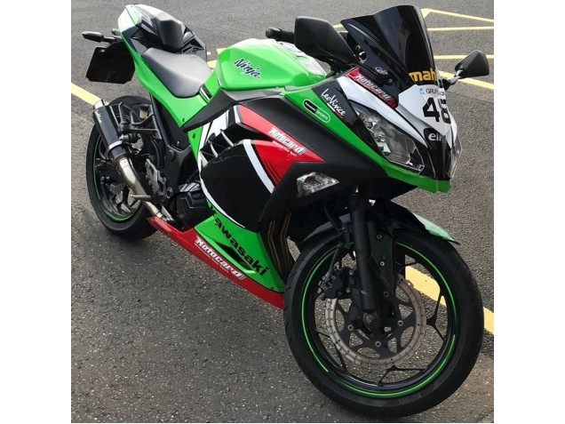 2013-2024 Kawasaki EX300 Motorcycle Fairings - Green White Red Black Elf UK