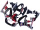 2000-2001 Honda CBR900RR 929 Motorcycle Fairings - Red White Glossy Black PlayStation 2 UK