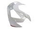 2000-2001 Honda CBR900RR 929 Motorcycle Fairings - White Red UK