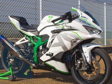 2019-2025 Kawasaki ZX4R ZX-4RR Motorcycle Fairings - White Silver Green UK