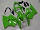 2000-2002 Green Kawasaki ZX6R Motorbike Fairing 2000-2002 Green Kawasaki ZX6R Motorbike Fairing