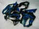 2001-2003 Blue Flames Honda CBR600 F4i Bike Fairings 2001-2003 Blue Flames Honda CBR600 F4i Bike Fairings