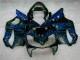 2001-2003 Blue Flames Honda CBR600 F4i Bike Fairings 2001-2003 Blue Flames Honda CBR600 F4i Bike Fairings