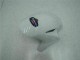 2004-2005 Blue White Honda CBR1000RR Motorcycle Fairings 2004-2005 Blue White Honda CBR1000RR Motorcycle Fairings