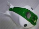 2004-2005 Green White Honda CBR1000RR Motorcycle Fairing 2004-2005 Green White Honda CBR1000RR Motorcycle Fairing
