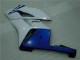 2004-2005 White Blue Honda CBR1000RR Motor Bike Fairings 2004-2005 White Blue Honda CBR1000RR Motor Bike Fairings