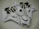 2004-2005 White Honda CBR1000RR Motorcycle Bodywork 2004-2005 White Honda CBR1000RR Motorcycle Bodywork