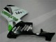 2005-2006 Green Honda CBR600RR Motor Bike Fairings 2005-2006 Green Honda CBR600RR Motor Bike Fairings