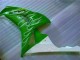 2006-2007 Green Honda CBR1000RR Motorbike Fairings 2006-2007 Green Honda CBR1000RR Motorbike Fairings